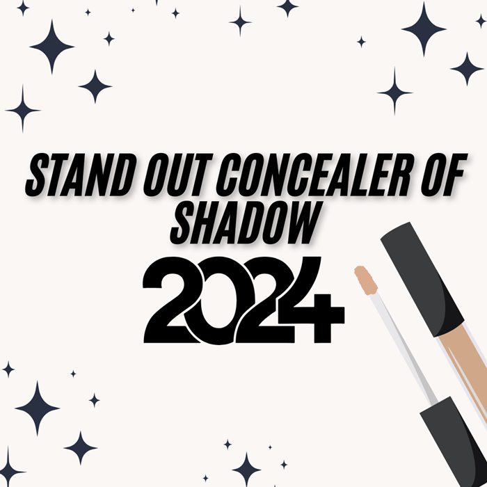 Stand Out Concealer of 2024